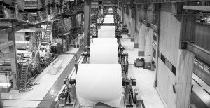 papel-home-1024x526